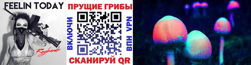 Псилоцибиновые грибы GOLDEN TEACHER Завитинск